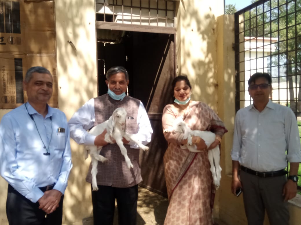 Chairman, University Grant Commission Prof D. P. Singh visited DUVASU, Mathura on 7th March 2021 and appreciated the activities of the Goat Unit of the College