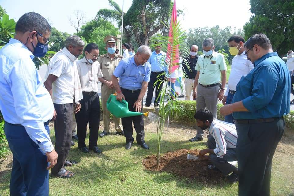 Let’s plant a tree- Save the planet
