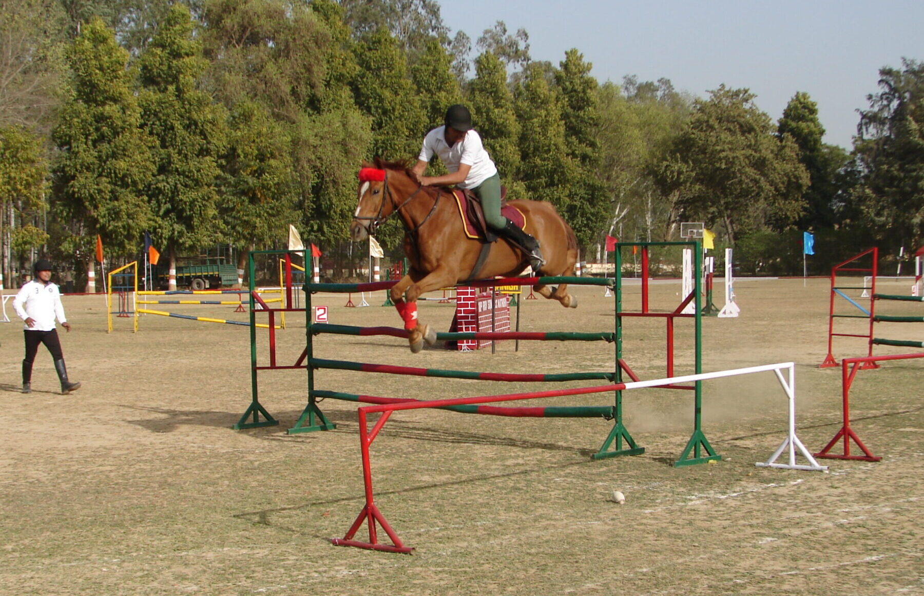 Horse Show