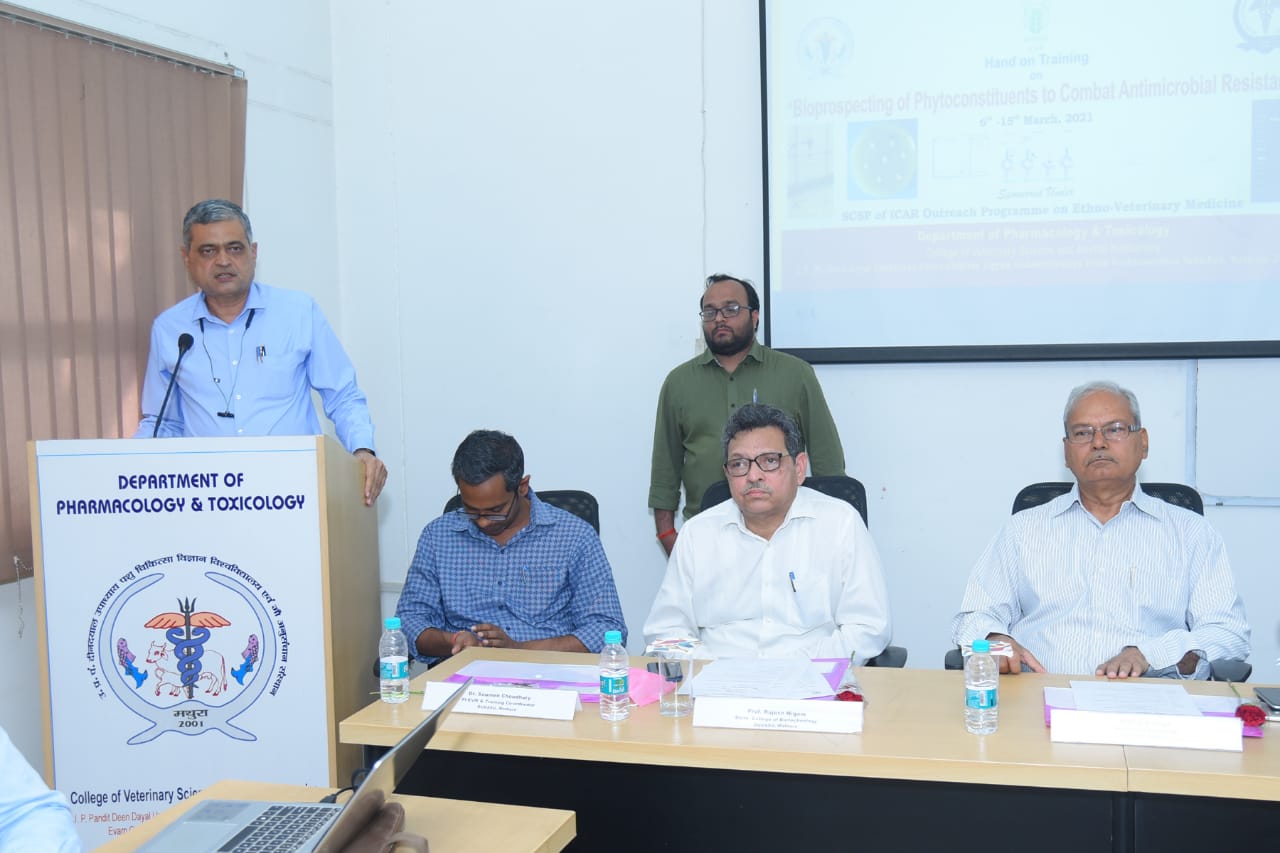 Glimpses of Valedictory function of Hands on Training programme on “Bioprospecting of Phytoconstituents to Combat Antimicrobial Resistance” Under ICAR-EVM Project held at Department of Veterinary Pharmacology and Toxicology, C. V. Sc. & A.H., DUVASU, Mathura