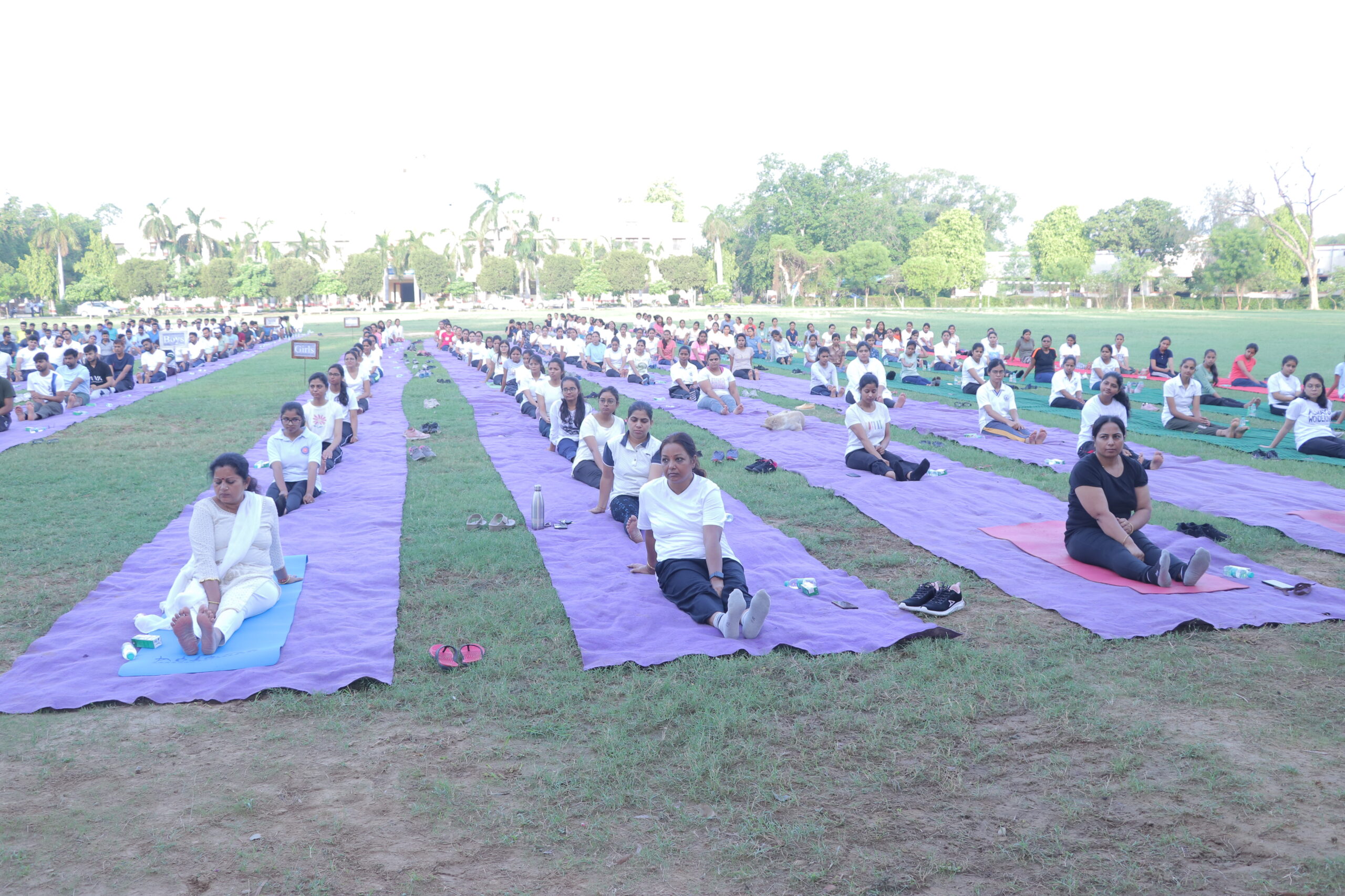 Celebration of 8th International Yoga Day at DUVASU, Mathura