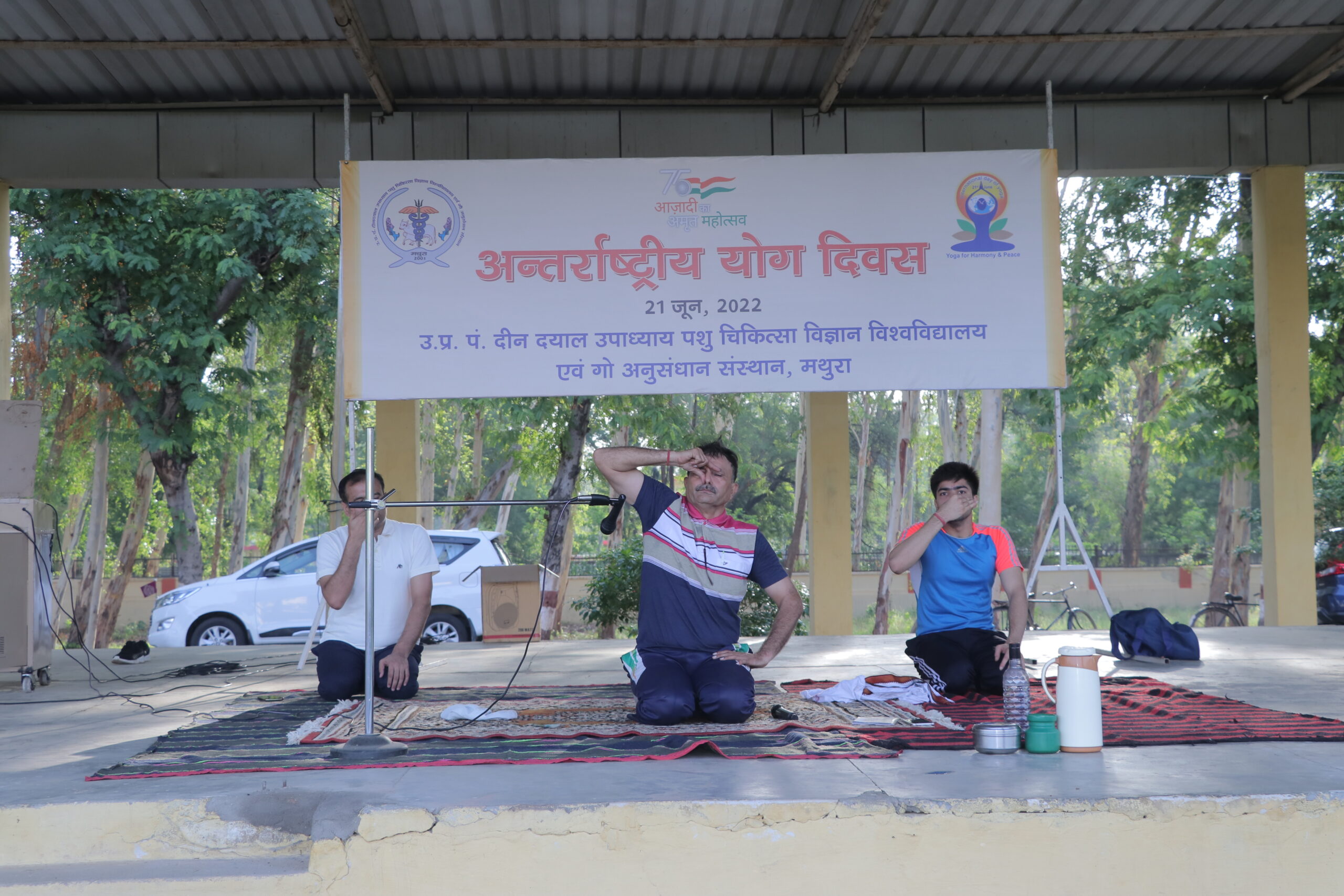 Celebration of 8th International Yoga Day at DUVASU, Mathura