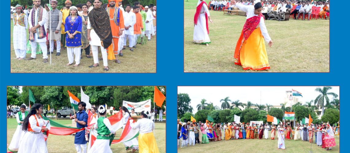 glimpse-of-independence-day-celebration