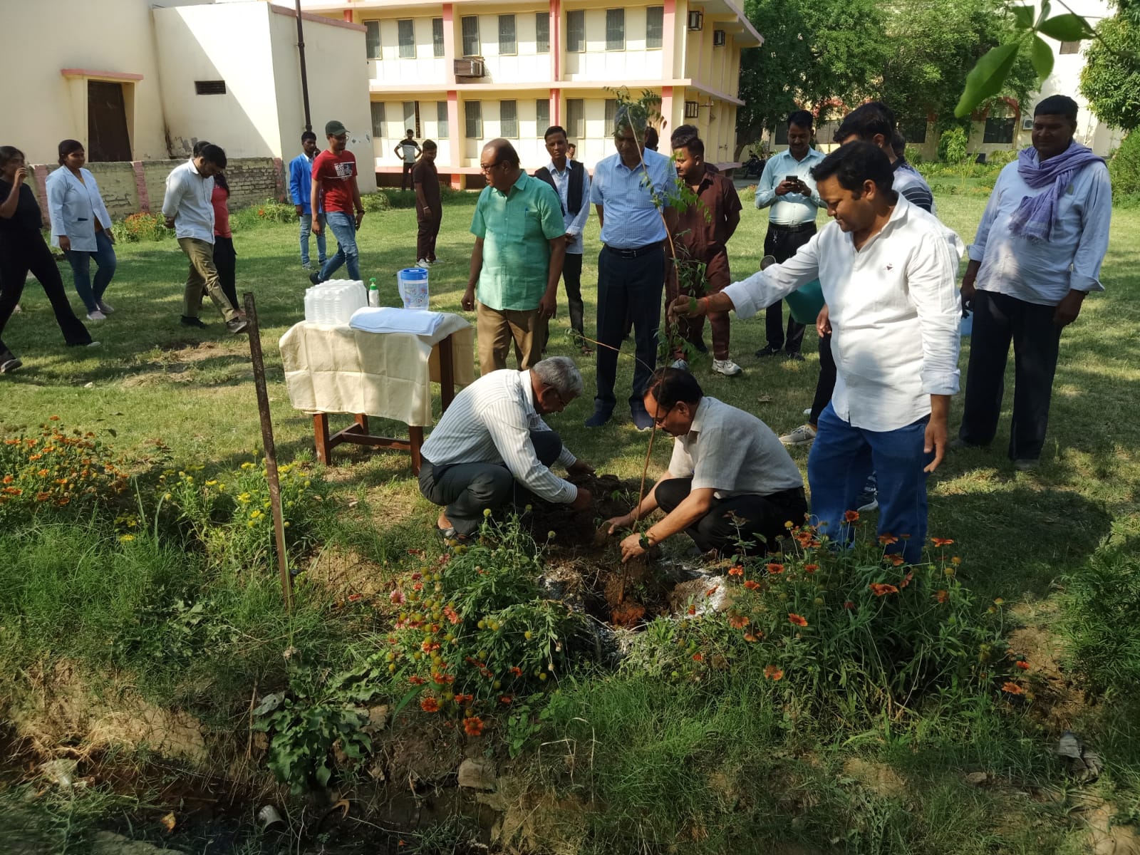 World Environment Day is celebrated in DUVASU, Mathura