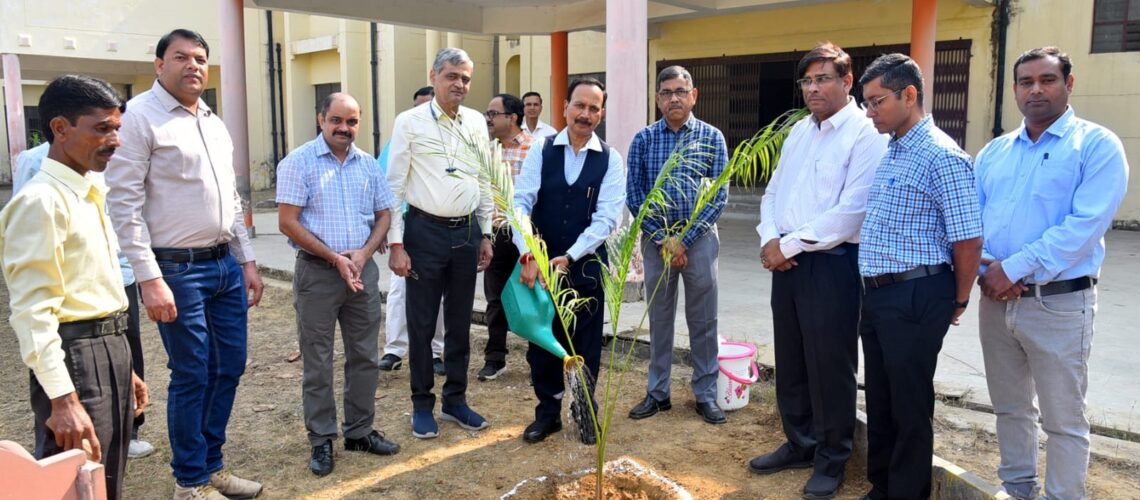 plantation-by-honble-vice-chancellor-and-teachers-of-the-university-on-the-auspicious-occasion-of-22nd-foundation-day-25-10-2023-of-duvasu-mathura